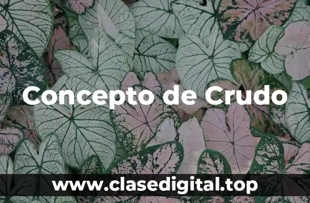 Concepto de Crudo