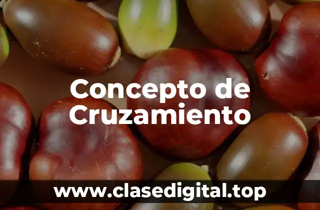 Concepto de Cruzamiento