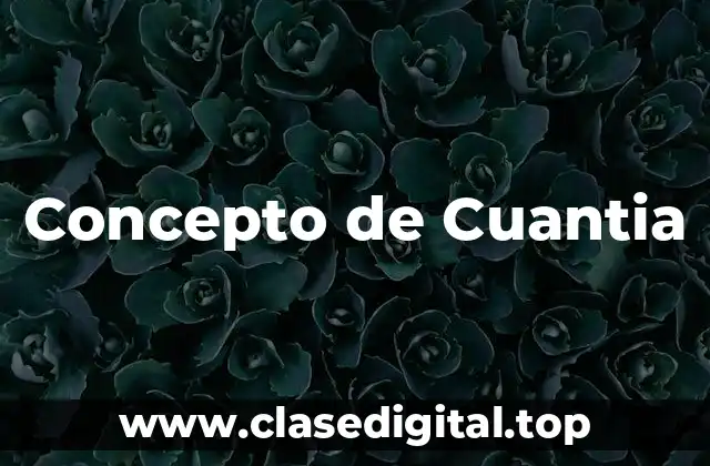 Concepto de Cuantia