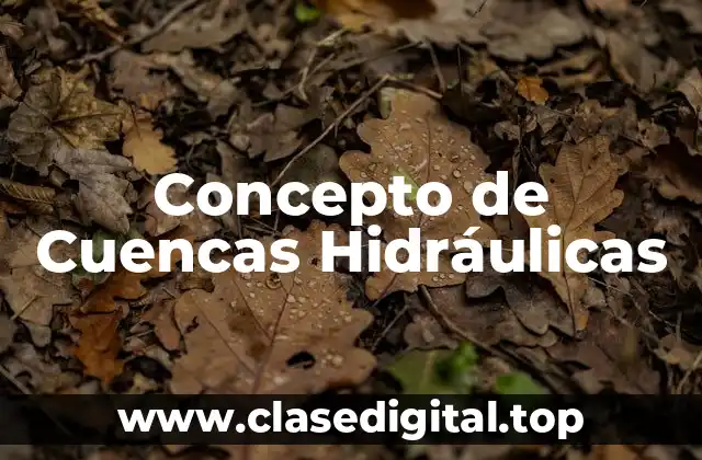 📗 Concepto de Cuenca Hidráulica