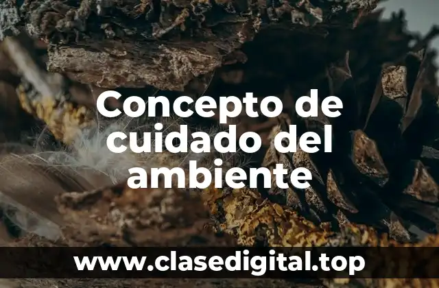 📗 Concepto de cuidado del ambiente