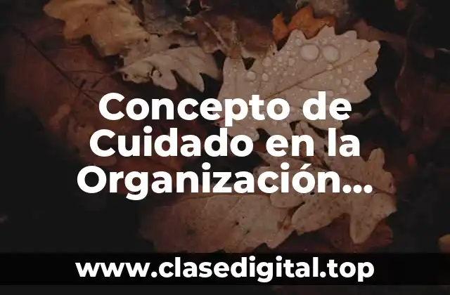 Concepto de Cuidado en la Organización Mundial de la Salud (OMS)