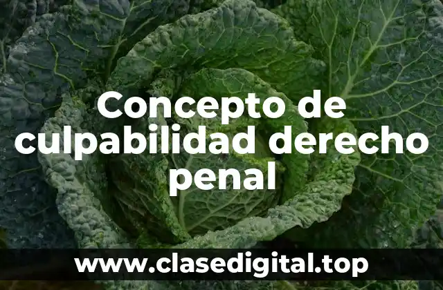 Concepto de culpabilidad derecho penal