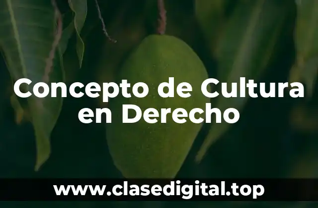 Concepto de Cultura en Derecho