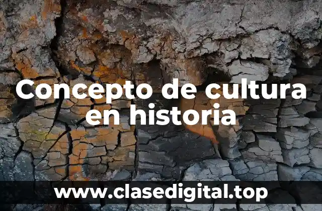 Concepto de cultura en historia