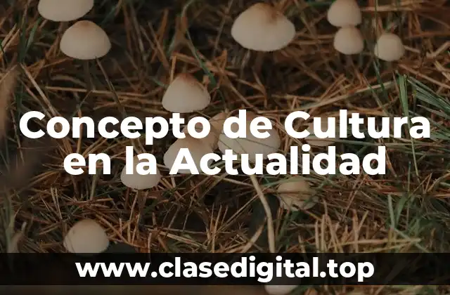 Concepto de Cultura en la Actualidad