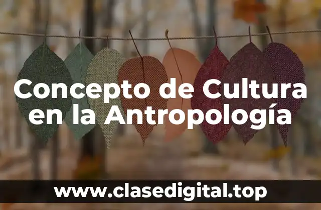 Concepto de Cultura en la Antropología