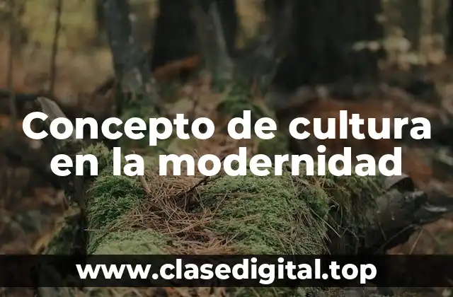 Concepto de cultura en la modernidad