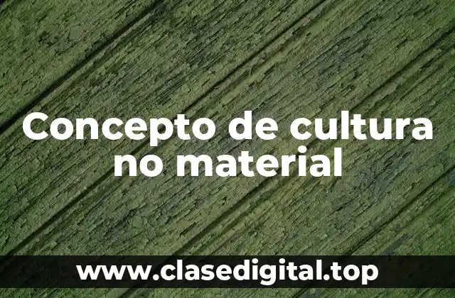 Concepto de cultura no material