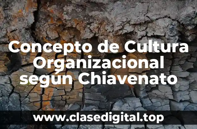 Concepto de Cultura Organizacional según Chiavenato