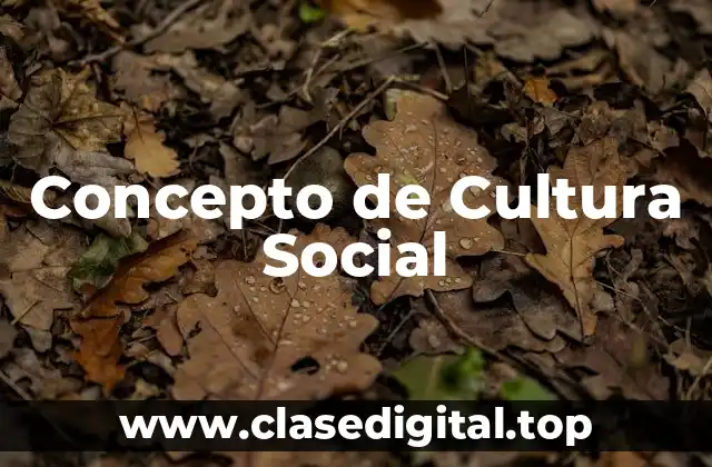 Concepto de Cultura Social