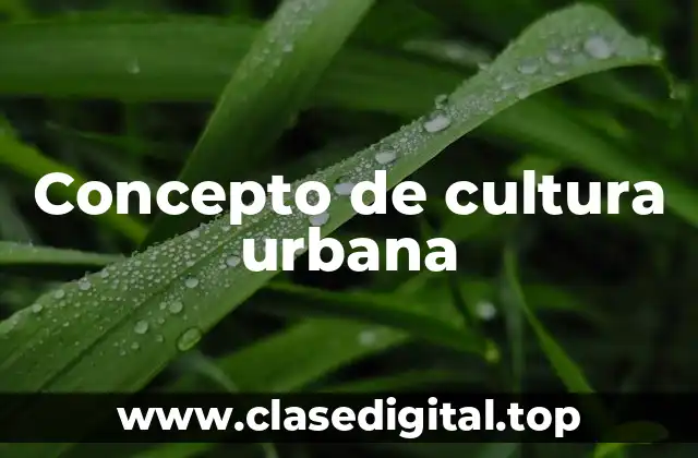 📗 Concepto de cultura urbana