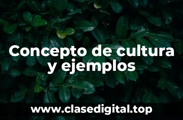 Concepto de cultura y ejemplos