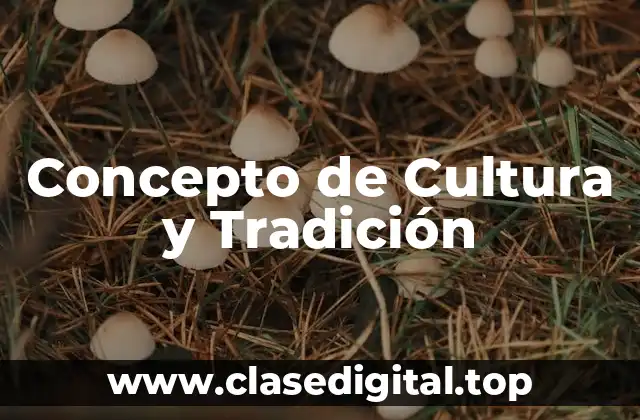 Concepto de Cultura y Tradición