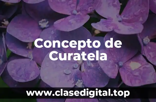 Concepto de Curatela