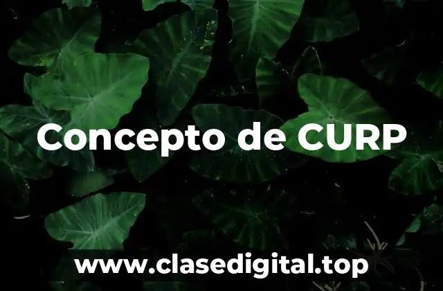 Concepto de CURP
