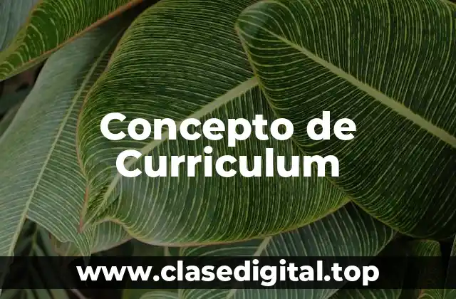 📗 Concepto de Curriculum
