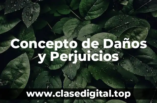 Concepto de Daños y Perjuicios