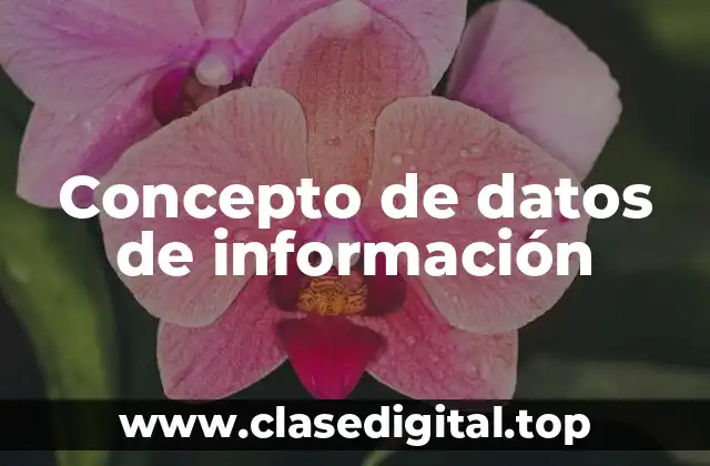 Concepto de datos de información