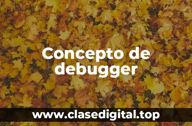 Concepto de debugger