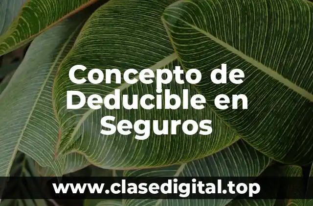 📗 Concepto de Deducible en Seguros