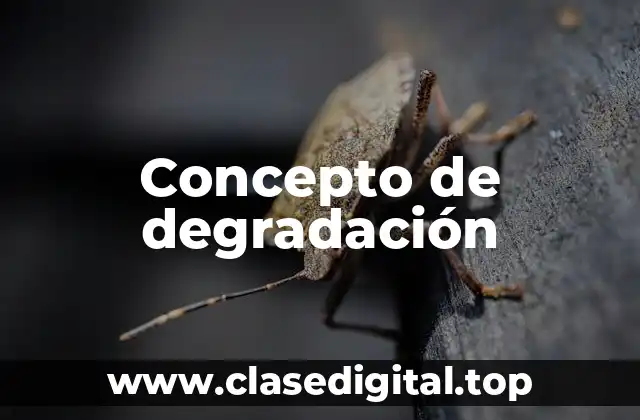 Concepto de degradación