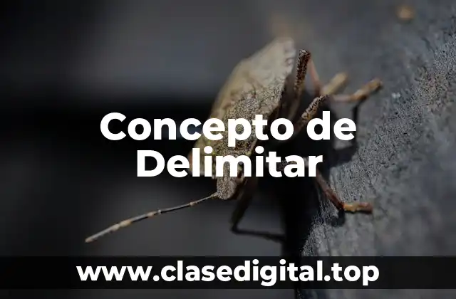Concepto de Delimitar