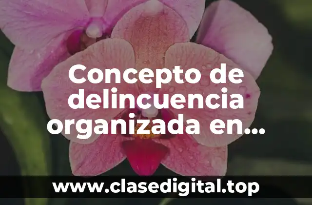 Concepto de delincuencia organizada en México