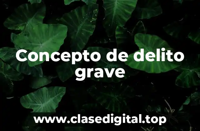 ☑️ Concepto de delito grave