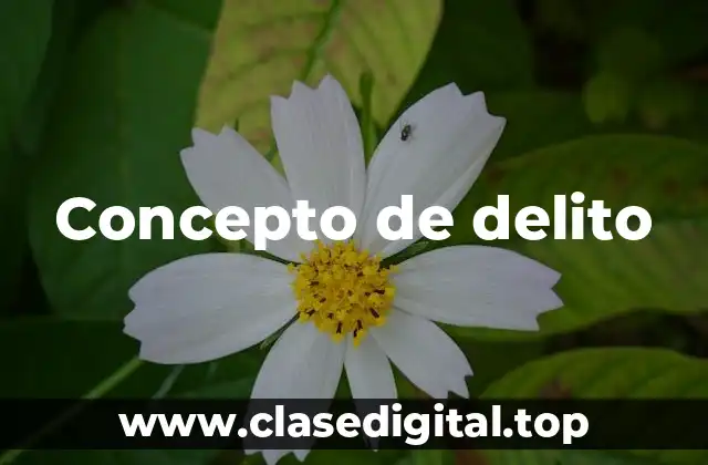 ☑️ Concepto de delito