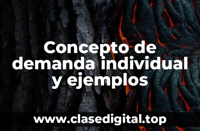 Concepto de demanda individual y ejemplos