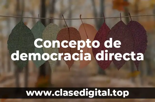 Concepto de democracia directa