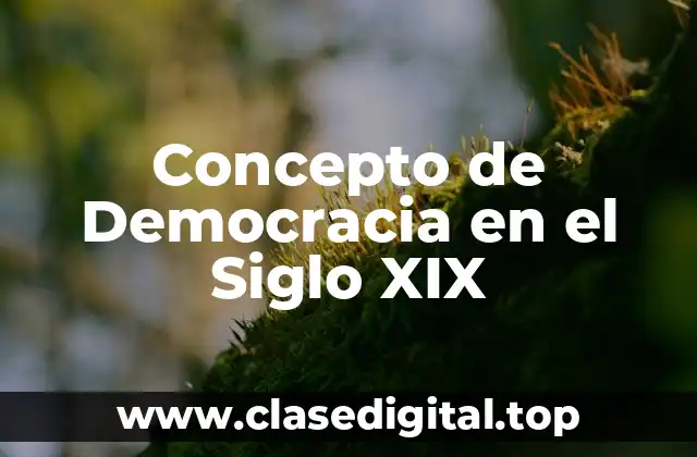 Concepto de Democracia en el Siglo XIX