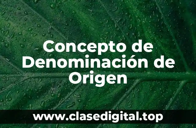 Concepto de Denominación de Origen