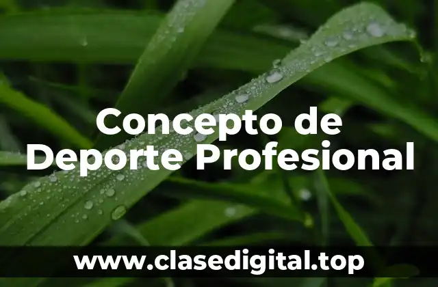 📗 Concepto de Deporte Profesional