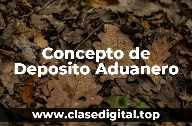 Concepto de Deposito Aduanero