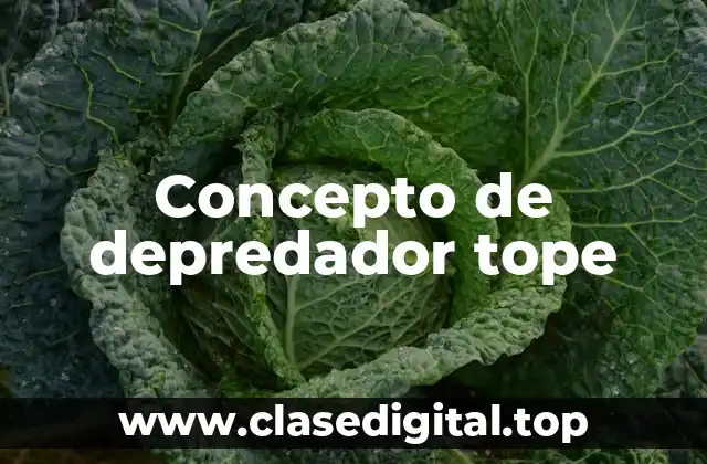 Concepto de depredador tope