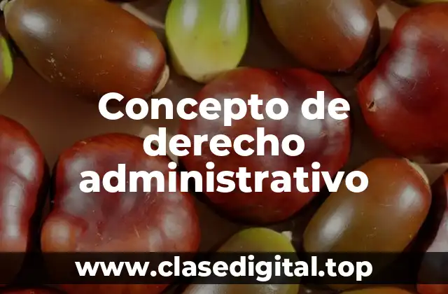 📗 Concepto de derecho administrativo