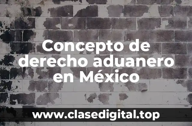 Concepto de derecho aduanero en México