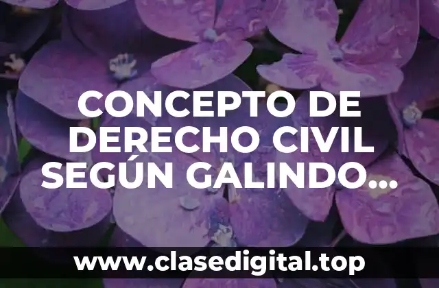 CONCEPTO DE DERECHO CIVIL SEGÚN GALINDO GARFIAS