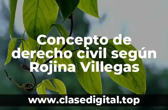 Concepto de derecho civil según Rojina Villegas