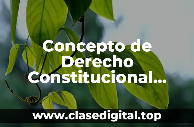Concepto de Derecho Constitucional según Ignacio Burgoa Orihuela