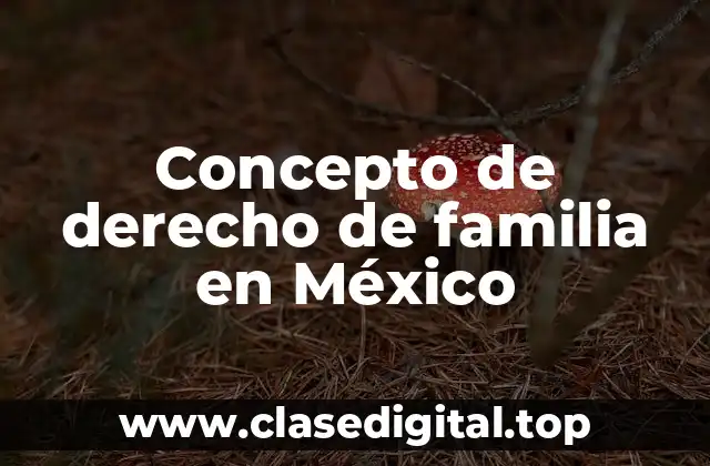 Concepto de derecho de familia en México