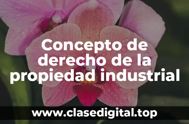 Concepto de derecho de la propiedad industrial