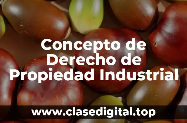 Concepto de Derecho de Propiedad Industrial