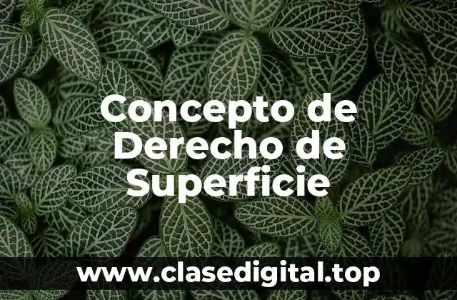 Concepto de Derecho de Superficie