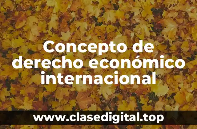 📗 Concepto de derecho económico internacional