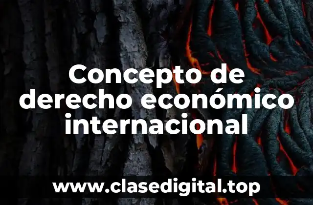 Concepto de derecho económico internacional