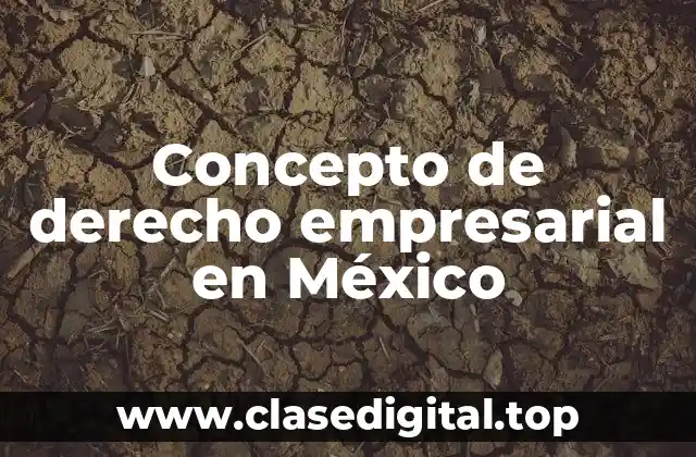 Concepto de derecho empresarial en México