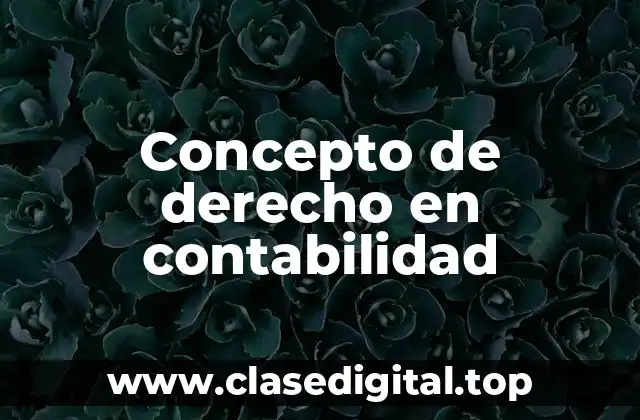 Concepto de derecho en contabilidad